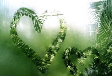 达拉斯独行侠训练开放日，国际比赛日临场应变引欢呼，NBA季后赛在即，细节决定成败的简单介绍-开元官网体育